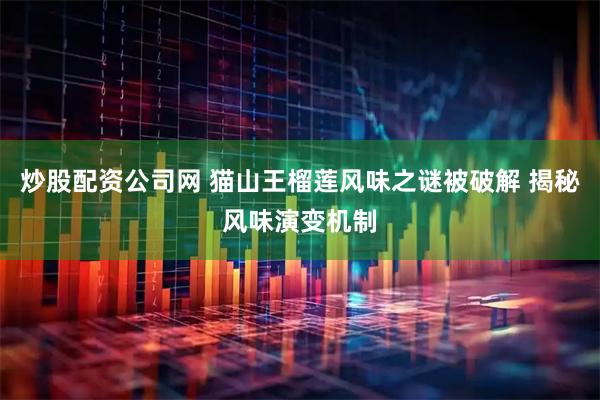 炒股配资公司网 猫山王榴莲风味之谜被破解 揭秘风味演变机制