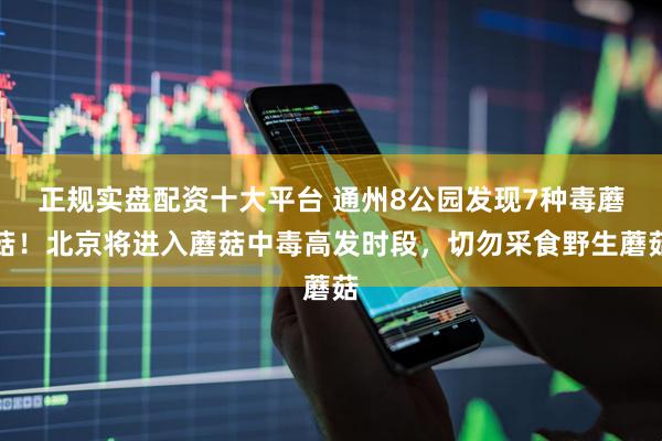 正规实盘配资十大平台 通州8公园发现7种毒蘑菇！北京将进入蘑菇中毒高发时段，切勿采食野生蘑菇