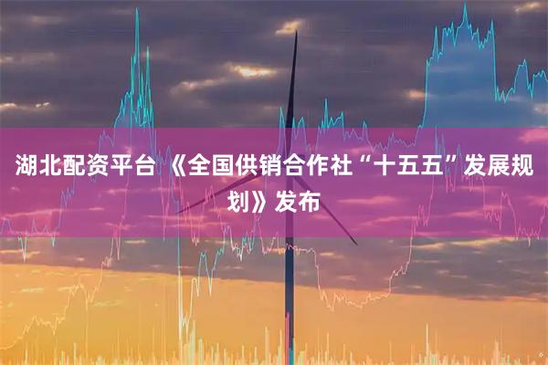 湖北配资平台 《全国供销合作社“十五五”发展规划》发布